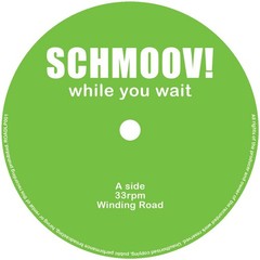 Schmoov! – While You Wait (2xLP) (Mint (M)) – Mint (M)