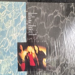Nirvana Vinyl Record Bundle Nevermind Grunge 2 LP Set