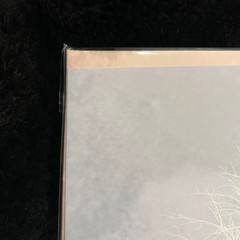 AFI – Decemberunderground IVC Edition – [New, Perfect Mint, Ships Double Boxed]