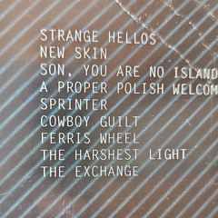 Torres – Sprinter Rock 12″ 180-220 Gram Vinyl LP Record Vinyl Me, Please Ed.