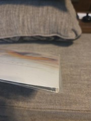 Thirteenth Step by Perfect Circle (Record, 2003) 1st Pressing Mint New Unopened!