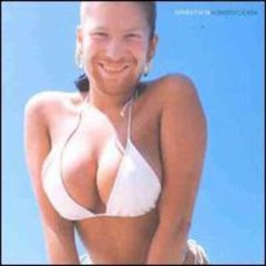 Aphex Twin – Windowlicker [New Vinyl LP]