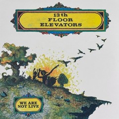 13th Floor Elevators We Are Not Live vinyl lp RSD 2026 MONO