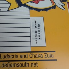 Ludacris Chicken-N-Beer Vinyl Record 2 LP Album 2003 Promo Copy Def Jam Read