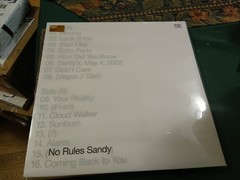 Sylvan Esso – „No Rules Sandy“ (Vinyl Record LP) *TIGER’S EYE VINYL*