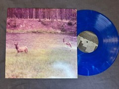 Seahaven- Ghost/Acoustic (2011 EP) 12” Blue Marble Vinyl. Run For Cover Records