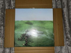 Bright Green Field by Squid (Record, 2021)