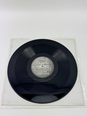 Electrospy – Voice Vinyl Record