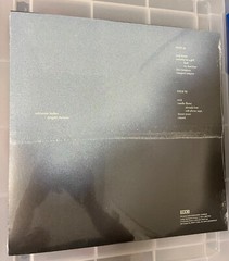 Adrianne Lenker Signed Print + Bright Future Recycled Colored Vinyl