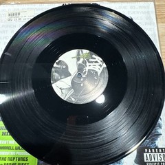 Common Universal Mind Control LP Vinyl Record