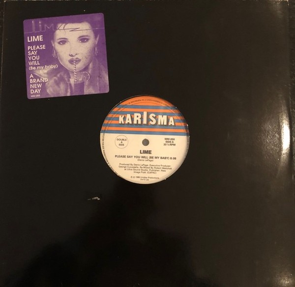Lime , Please Say You Will (Be My Baby) / A Brand New Day, (12″), VG+, 406154886