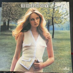 Twiggy Self-Titled LP vinyl UK Mercury 1976 gatefold sleeve 9102600 Vg+ vg+ 1st