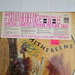 The Smithereens Especially For You Vinyl LP Picture Disc 1986 SEAX 73258 Vintage