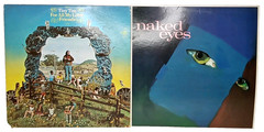 Vintage Vinyl Record 2 LP Album Set Tiny Tim Naked Eyes Folk & New Wave Music