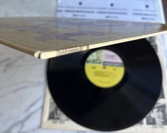 JIMI HENDRIX EXPERIENCE Are You Experienced Vinyl LP 1st Orig Press 67 TRI-COLOR