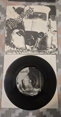 The Disenchanted – The Other White Trash 7″ 1998 New York Punk Nofx Rancid
