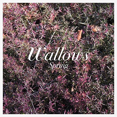 Wallows – Spring (COLOR VINYL) – ALT/INDIE *SEALED/COLOR*