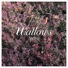 Wallows – Spring (COLOR VINYL) – ALT/INDIE *SEALED/COLOR*