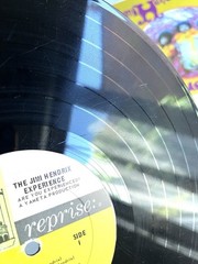 JIMI HENDRIX EXPERIENCE Are You Experienced Vinyl LP 1st Orig Press 67 TRI-COLOR