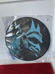 NEW R.E.M. Lp Chronic Town Picture Disc Vinyl Record Limited Ed 12”
