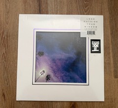 LOOK OUTSIDE YOUR WINDOW SEALED limited edition LP Splatter Vinyl RSD