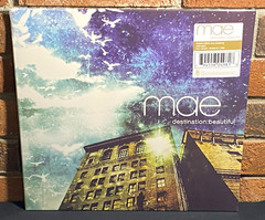 MAE – Destination: Beautiful, Ltd Tour Edition GOLD COLOR VINYL LP New & Sealed!