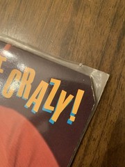 BUDDY GUY LP Stone Crazy 1981 Alligator blues vinyl