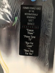 COVER ONLY NO RECORD Basia TIME AND TIDE 1987 Epic Shrink Hype Sticker NM