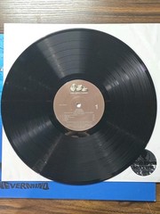 Nirvana Nevermind LP Vinyl Record 180gm Audiophile Quality Germany Pressing