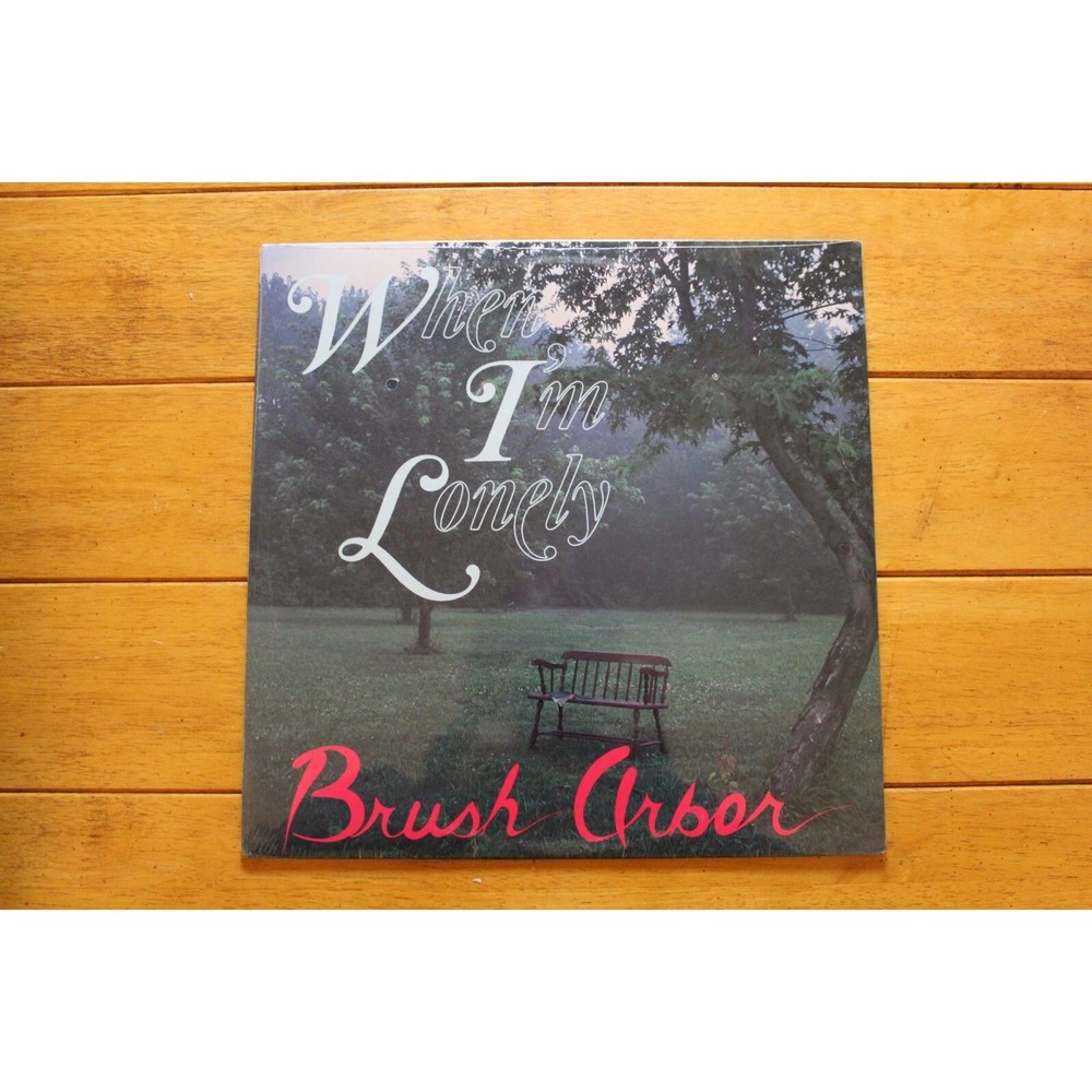 BRUSH ARBOR „WHEN I’M LONELY“ LP 12″ VINYL [NEW SEALED] XIAN PRIVATE PRESS