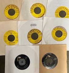 ROCK 7″ SINGLE LOT – ELVIS PRESLEY/JERRY LEE LEWIS/GENTRYS/JOHNNY CASH sun 45rpm