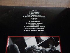 LP-ICICLE WORKS-Blind-1988- High Time, Hot Profit Gospel, Shit Creek