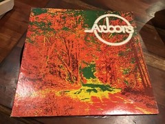 The Arbors ‎– The Arbors, LP 1977, Private Press – RARE AR-67701