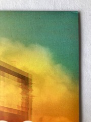 Madeon Technicolor Vinyl Record – Sony Music – Popcultur – EDM – DJ – 2013