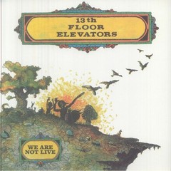 13TH FLOOR ELEVATORS – We Are Not Live (Record Store Day RSD 2026) – Vinyl (LP)