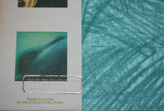 R.E.M. *Dead Letter Office* 1987 US Promo LP, Translucent Quiex Vinyl