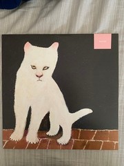 Duster – Duster (GHOULISH TRANSLUCENT VINYL) – ALT/INDIE *SEALED/COLOR*