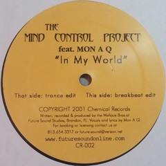 The Mind Control Project feat. Mon A Q, In My World, (12″, Single), VG+, 3883695