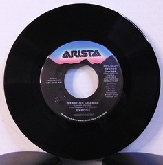 Exposé – Seasons Change – 1987 Arista Pop Dance 45 RPM 7″ Single Record + Pic