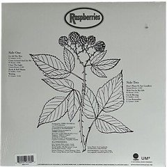 Raspberries 1972 Self-Titled Debut 2016 Translucent RED Vinyl LP Record *Sealed