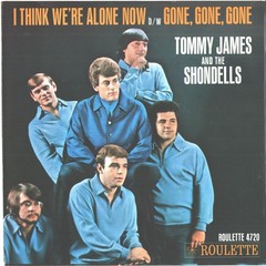 TOMMY JAMES AND SHONDELLS-PICTURE SLEEVE+45-(I THINK WE’ER ALONE NOW)–PS–PIC–
