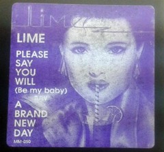 Lime , Please Say You Will (Be My Baby) / A Brand New Day, (12″), VG+, 406154886