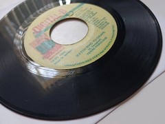 Terror Fabulous – Watch Who Yu Drape Vinyl 45 – 1994 Digital-B – Jamaica