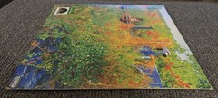 JHENE AIKO TRIP RSD 2026 RARE Picture Disc Vinyl SEALED & NEW