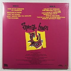 Spiral Heads “‘Til I’m Dead” LP/Trash Casual (Sealed) 2024 Czech Republic
