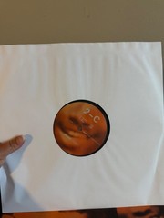 Channel Orange Vinyl