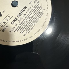 EDM Vinyl Lot The Culture, M4 SERS Gemma, And Elise Jennifer Lopez Dj