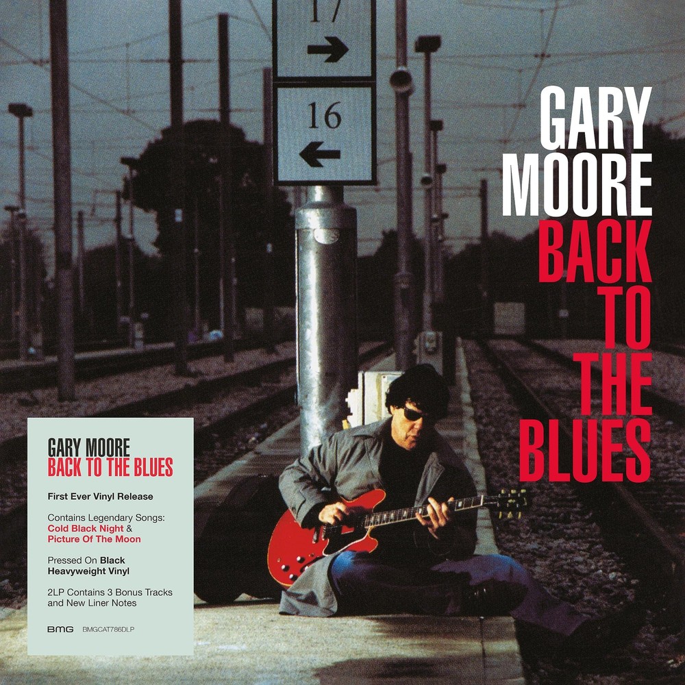 Back to the Blues[2 LP] multicoloured