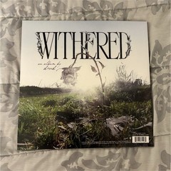 Rare d4vd Withered 12″ LP Colored Vinyl /Black Splatter disc W SIGNED POSTER