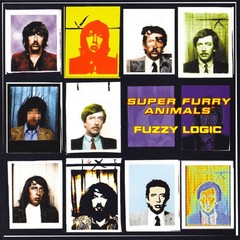 Super Furry Animals – Fuzzy Logic – ROCK *NEW*